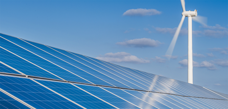 Supplier dual carbon governance