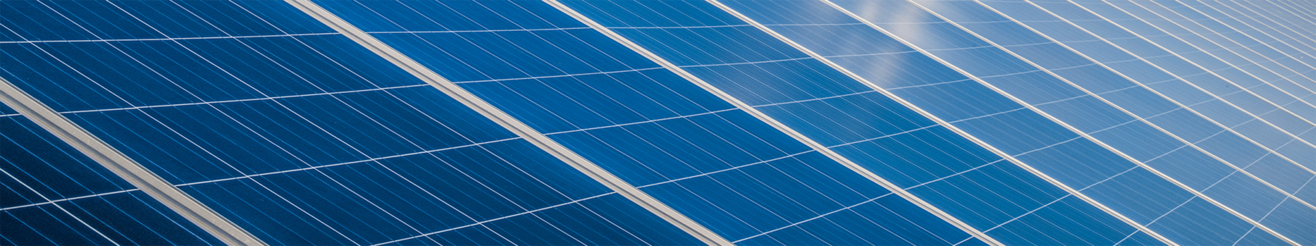 Supplier dual carbon governance