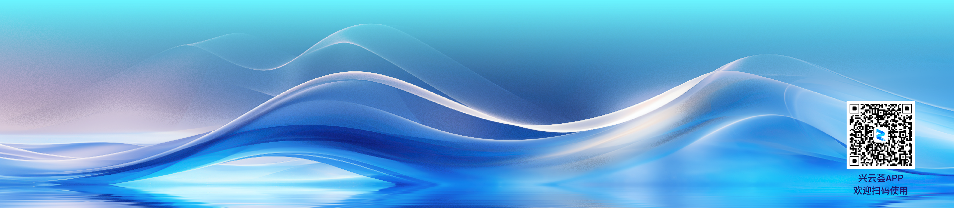 商业市场解决方案