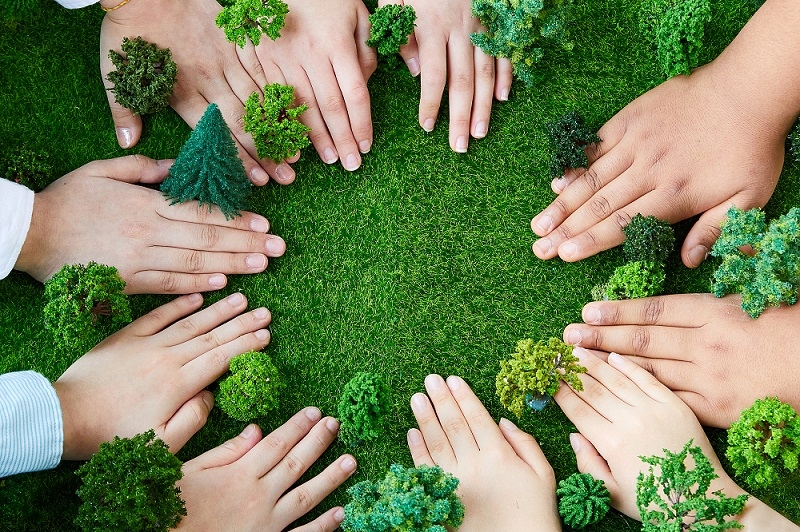 中兴通讯践行碳中和承诺，第二个“员工碳中和林”落地华北